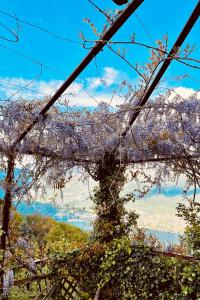 Casa con giardino e vista lago