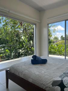 La casa de Delia armero guayabal