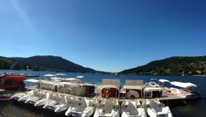 Appartements COUP de COEUR - bord et vue lac Gerardmer : photos des chambres