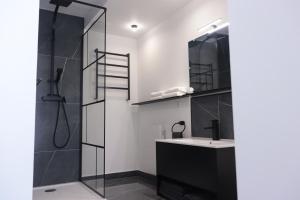 Appartements Suite Izambard 4 pers Standing en centre ville : photos des chambres