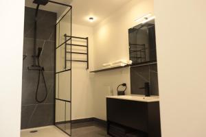 Appartements Suite Izambard 4 pers Standing en centre ville : photos des chambres