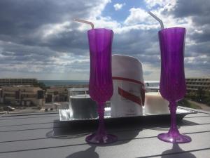 Appartements Studio Glamour Naturiste : photos des chambres