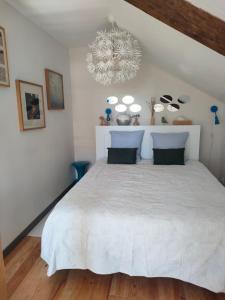 Appartements La Suite 27 bis, proche gare et centre, jardin et calme : photos des chambres