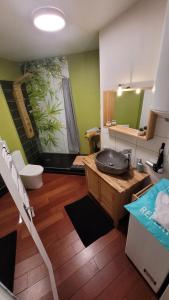 Appartements Nid douillet plein de charme avec Parking gratuit : photos des chambres