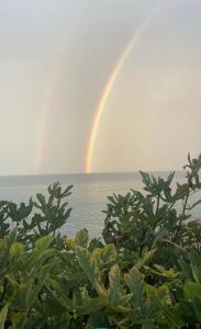 Petra Paura B&B by ROOMS SRLS