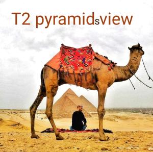 T2 pyramids View