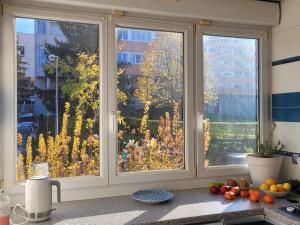 Quiet 3 bedrooms apt, 30 min from Paris centre