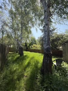 Watford Stay Comfortable Home Near Town Centre and Transport