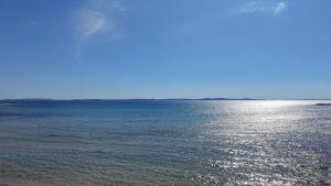 Luxury Seaside Villa Privlaka with Jacuzzi and sauna - 10 Gardens - Beach & Relax Croatia