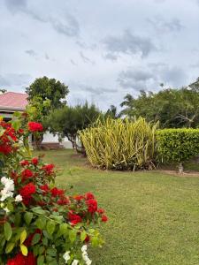 Beachscape At Black River