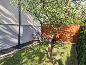 Apartament Jawor
