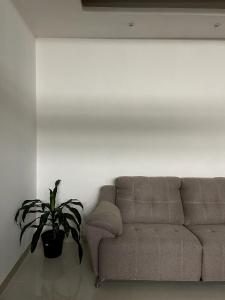 Luxury apartment room