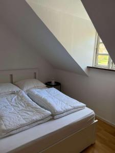 Meerblick Cafe Reiten Spielplätze Animation WLAN