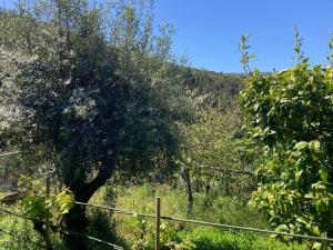 Casa do Ferreiro - Bocado Arganil