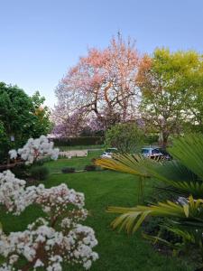 Appartements A 15mn de VICHY Le colombier studio dans etable : photos des chambres