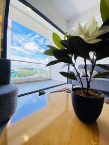 La vida es bella! hermoso apartamento con Pisicina Y Gym 903