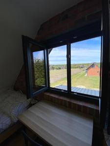 Domek Radawa, Koguty