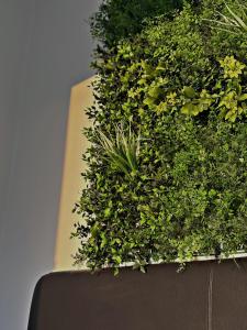 Casa Vacanze - La Barchetta