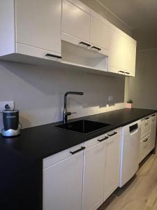 Cozy Apartment Near Downtown