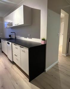 Cozy Apartment Near Downtown