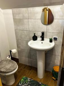 DOLINA ROZTOKI-mieszkanie,pokoje lub domek z lokalem na poddaszu