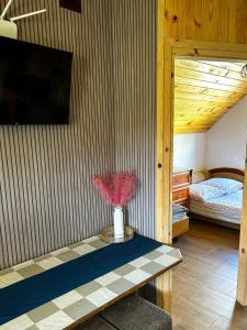 DOLINA ROZTOKI-mieszkanie,pokoje lub domek z lokalem na poddaszu