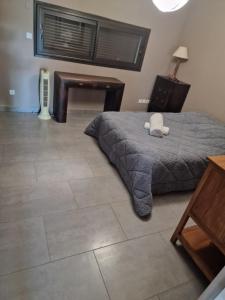 Villas Villa avec piscine et dependance : photos des chambres