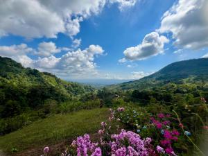 Kayala Dome - Private luxury Dome