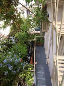 Efrosinis studio semi-basement