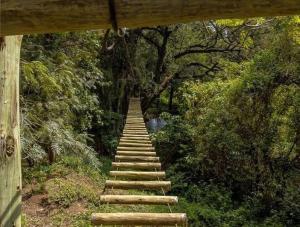 Tembo Homes Riverside Apartments