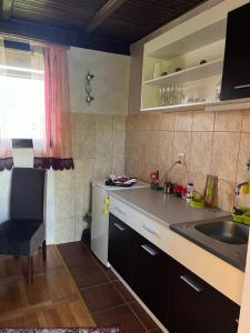 Apartman jezero Vrutci