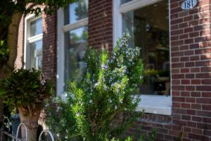 Your own floor in authentic picturesque dikehouse