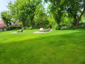 Apartament606