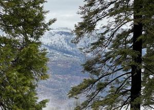 Yosemite Aviary and Quail Within Yosemite - 2 Separate Family Units Welcoming Up To 14 Guests
