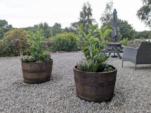 The Dairy at Brackenthwaite Farm