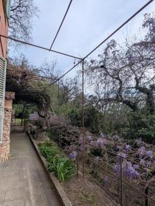 Maison de famille entre mer & collines - Charme, citronniers et tranquillité - accès marche et sentier 3 min