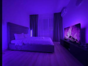 STM Studio la 5 minute de plaja