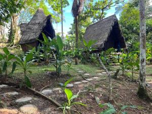 Jungle Cabin - Satori Natural