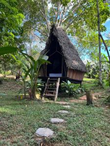 Jungle Cabin - Satori
