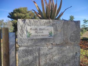 Trullo Contrada Specchi