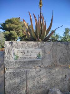 Trullo Contrada Specchi