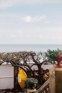 B&B / Chambres d'hotes La Villa Louis, maison d-hotes, vue mer : photos des chambres