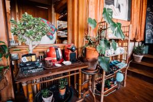 B&B / Chambres d'hotes La Villa Louis, maison d-hotes, vue mer : photos des chambres