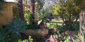 Petit Cocon avec piscine proche Olhao et plages