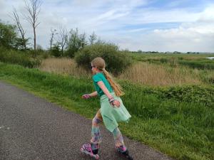 Retro Oldtimer de Duif nabij het Sneekermeer