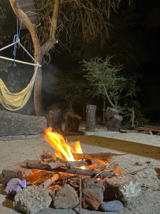 Casa de Campo Mamaia