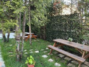 Serenity Apartments and Studios