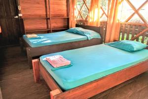 Paraíso Ayahuasca Hotel & Tours