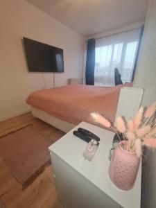 Belle appartement cocooning Proche Paris et Aéroport Charles de Gaulle