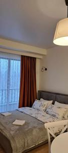 Bakuriani Cozy House